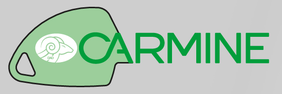 Carmine — serrures et cylindres